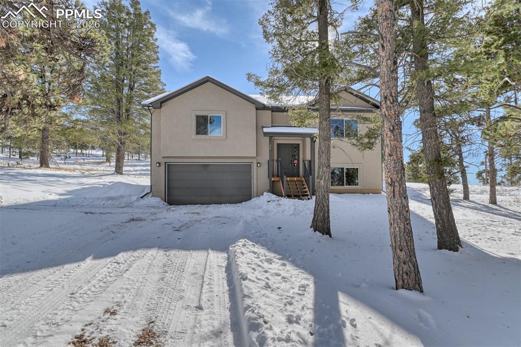 24 Big Horn Circle Florissant CO 80816