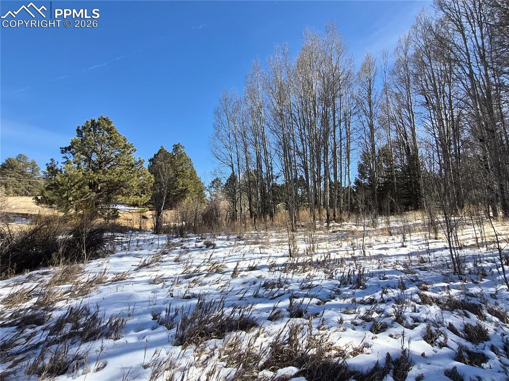 38340 Highway 24 Lake George CO 80827