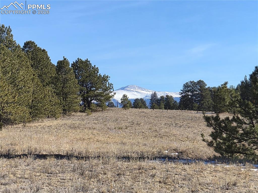 38340 Highway 24 Lake George CO 80827