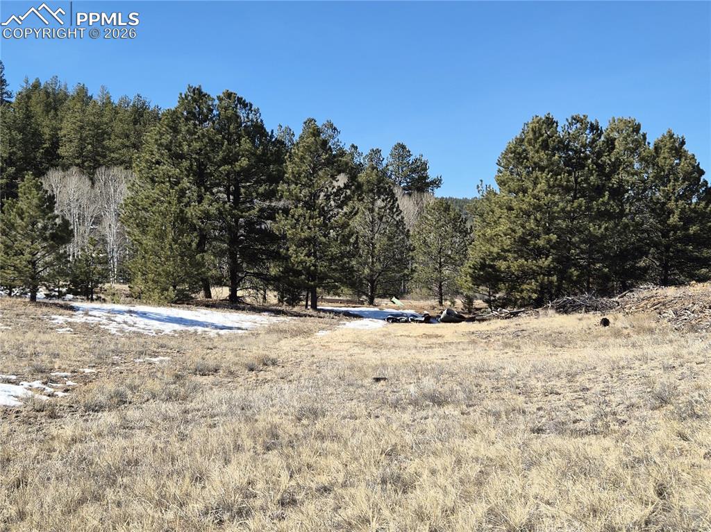 38340 Highway 24 Lake George CO 80827