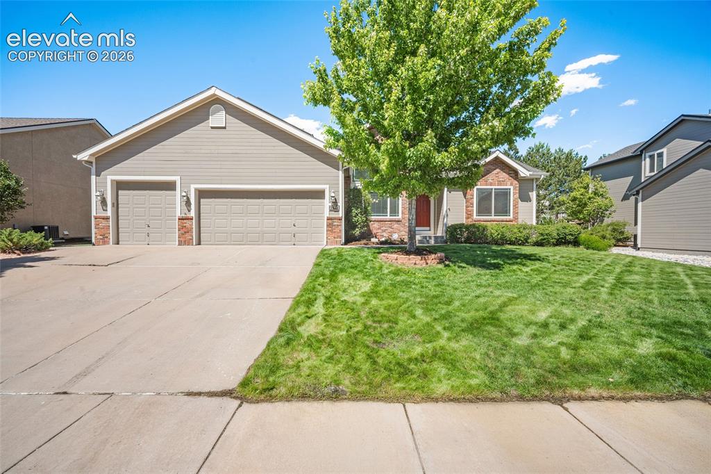 9829 Treelake Drive Colorado Springs CO 80920