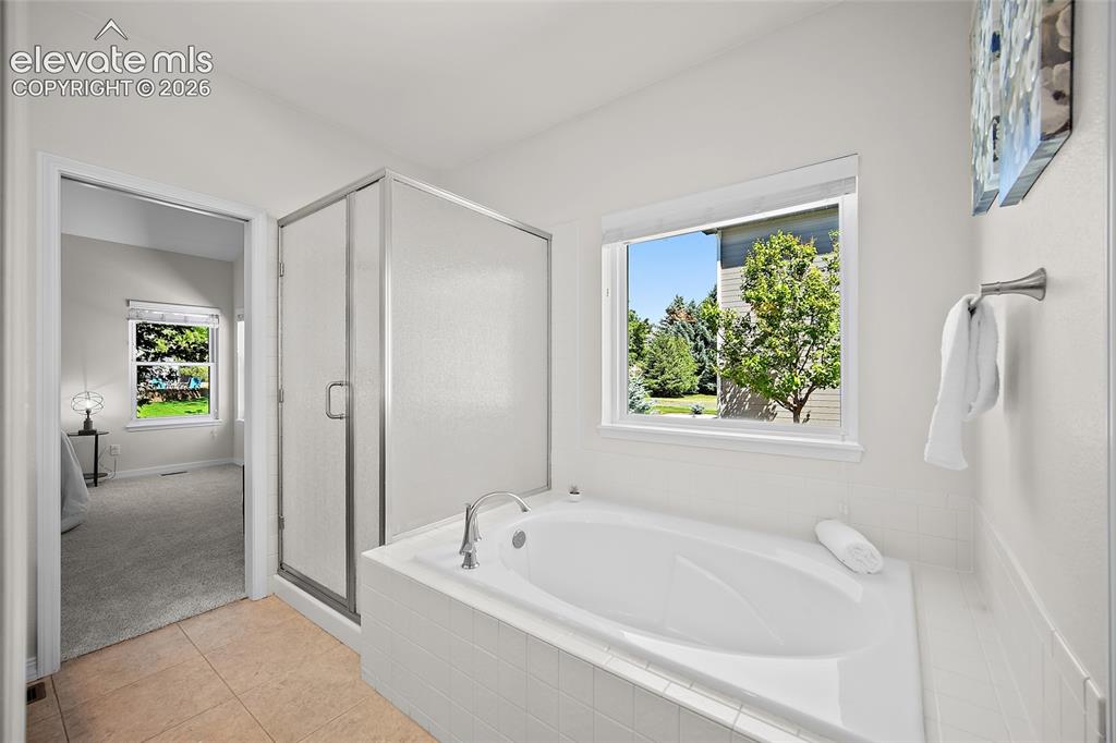 9829 Treelake Drive Colorado Springs CO 80920