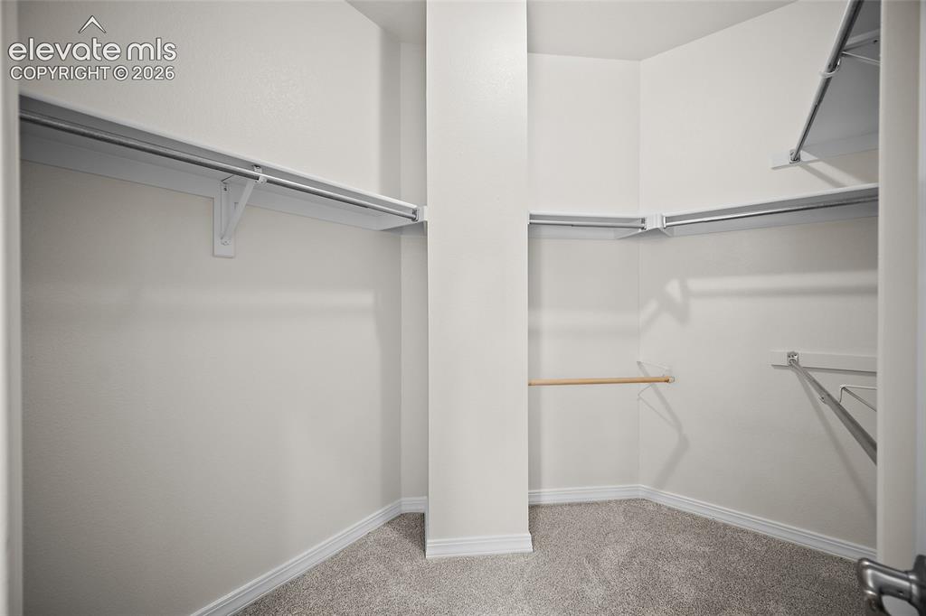 9829 Treelake Drive Colorado Springs CO 80920