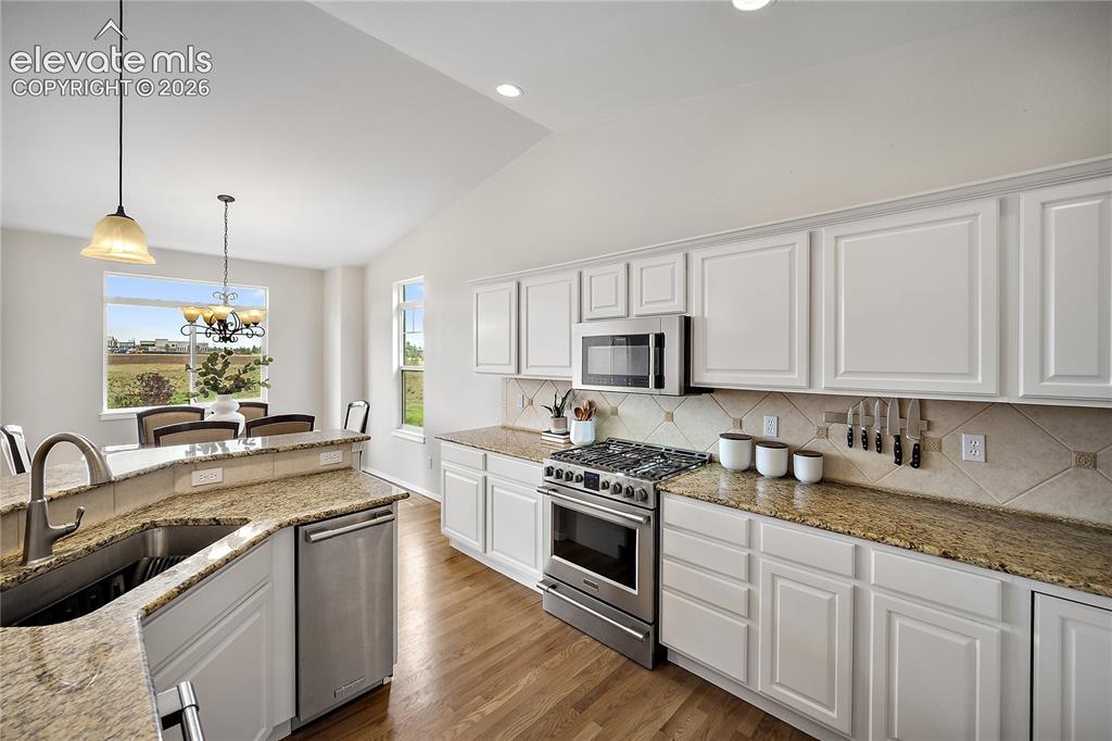 9907 Red Sage Drive Colorado Springs CO 80920