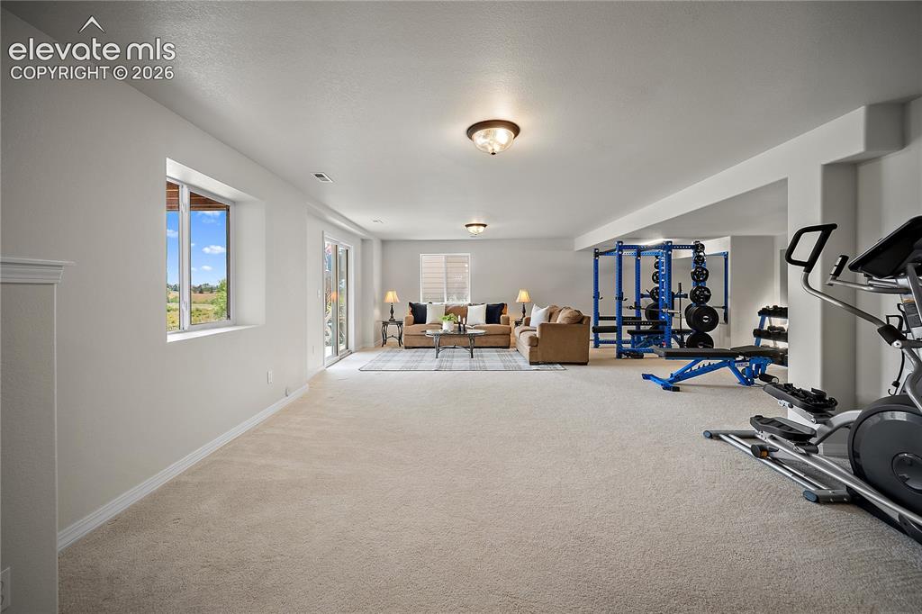 9907 Red Sage Drive Colorado Springs CO 80920