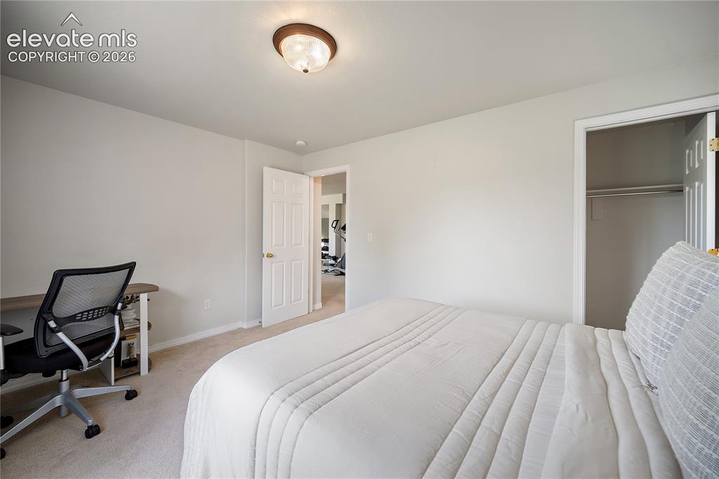 9907 Red Sage Drive Colorado Springs CO 80920