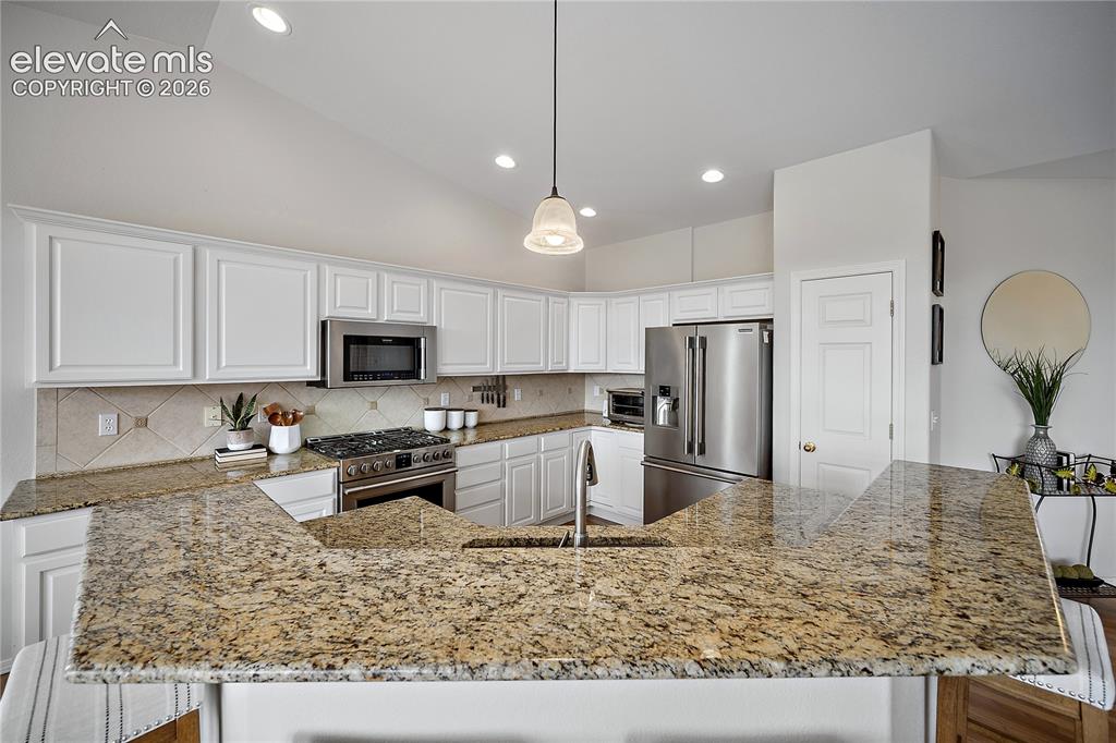 9907 Red Sage Drive Colorado Springs CO 80920