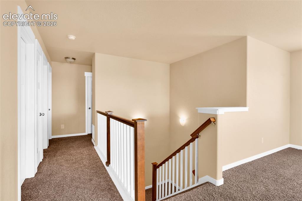 2515 Reed Grass Way Colorado Springs CO 80915