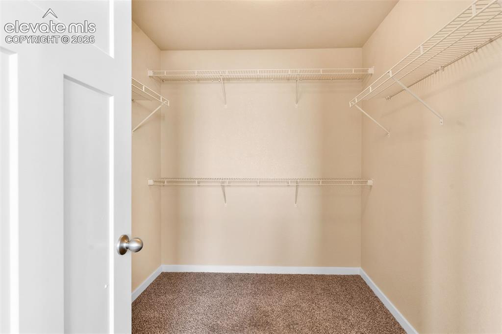 2515 Reed Grass Way Colorado Springs CO 80915