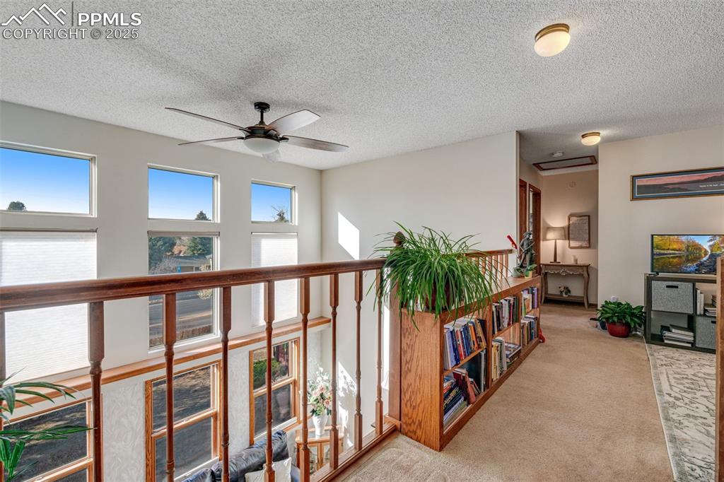 7620 Conifer Drive Colorado Springs CO 80920