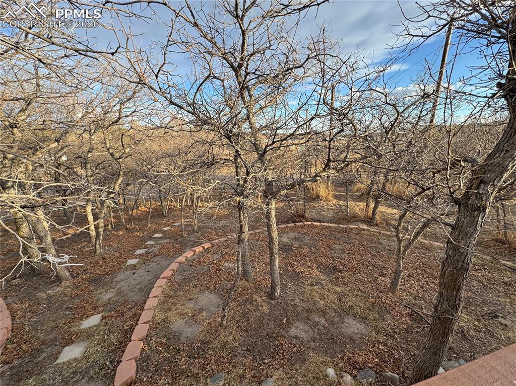 690 Meadow Lane Palmer Lake CO 80133