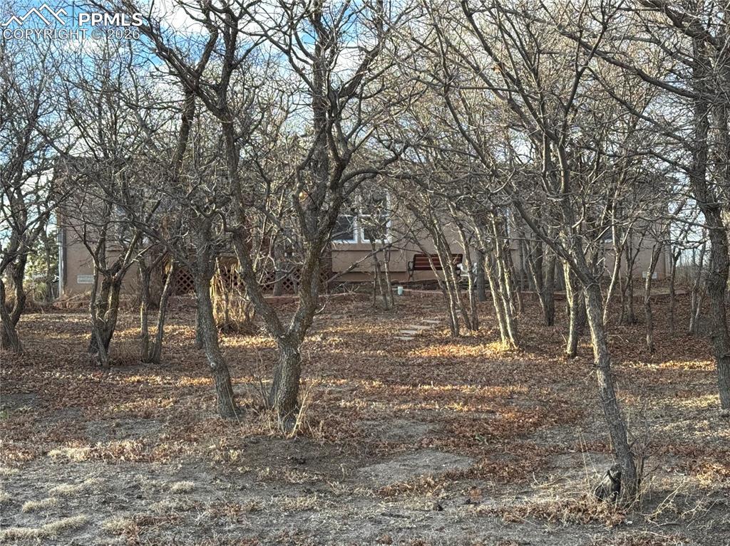 690 Meadow Lane Palmer Lake CO 80133