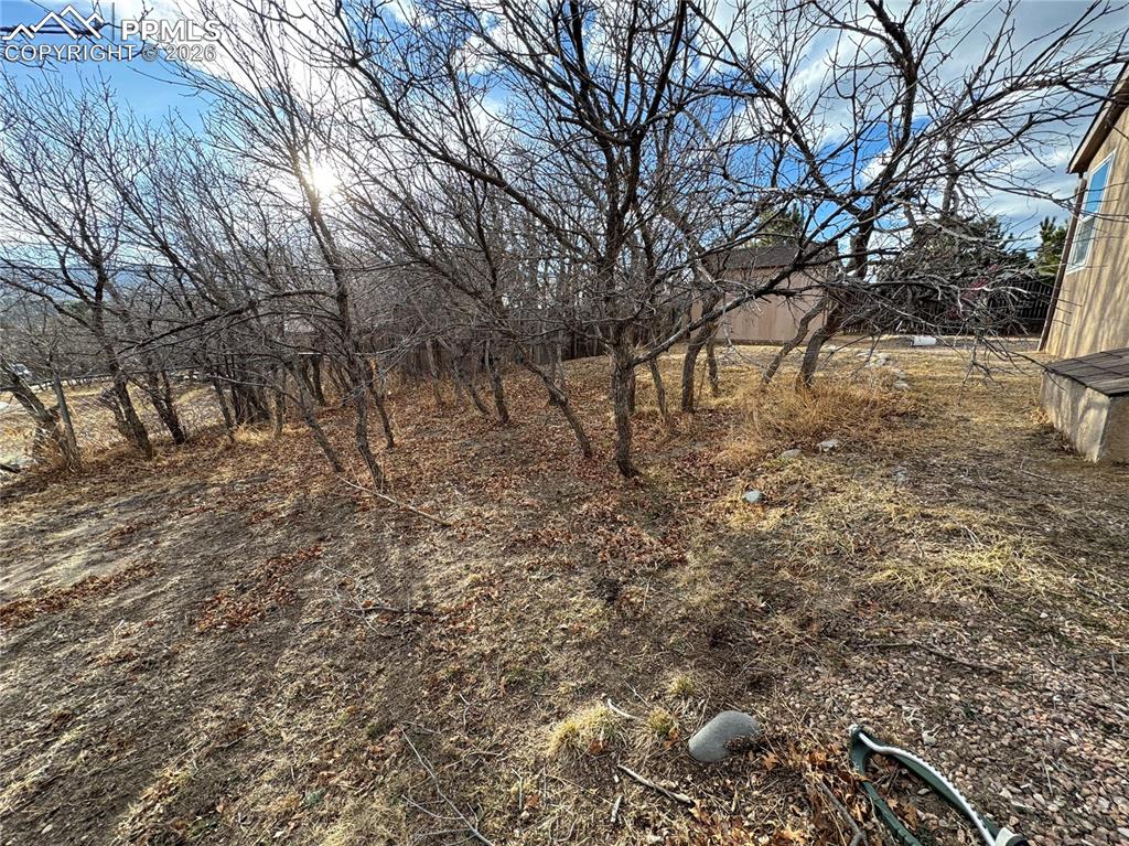 690 Meadow Lane Palmer Lake CO 80133