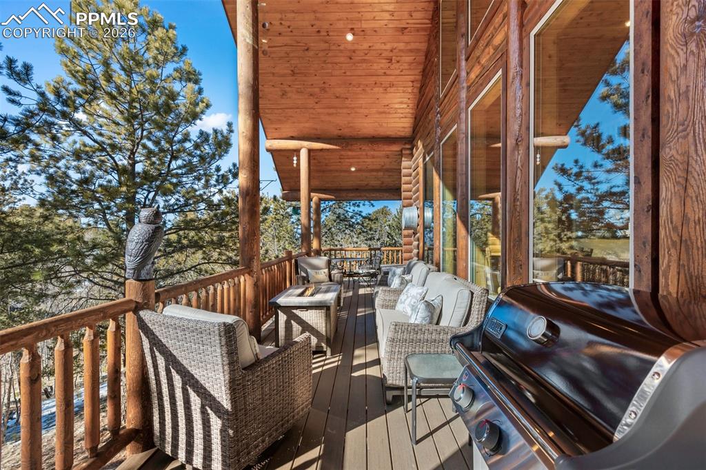 26 Blue Spruce Road Divide CO 80814