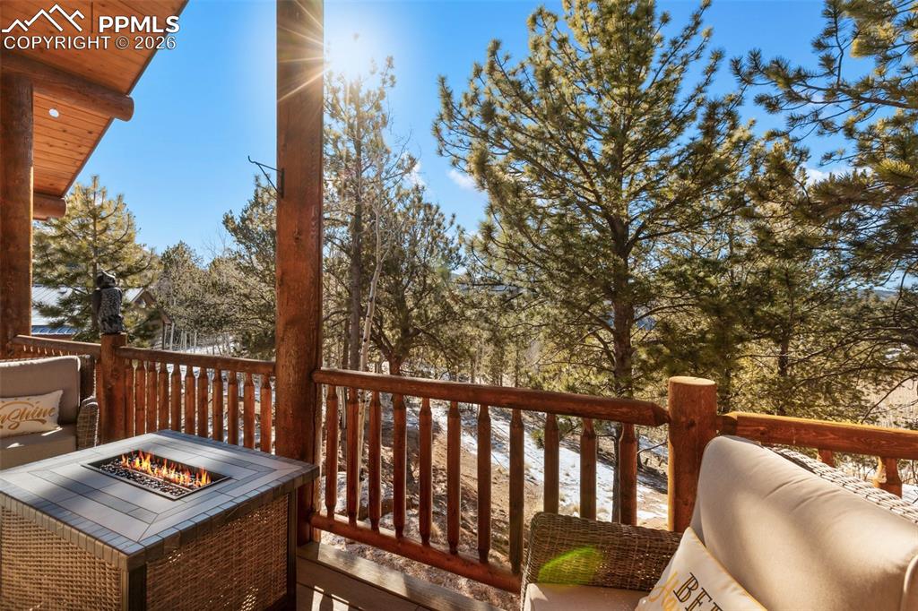 26 Blue Spruce Road Divide CO 80814