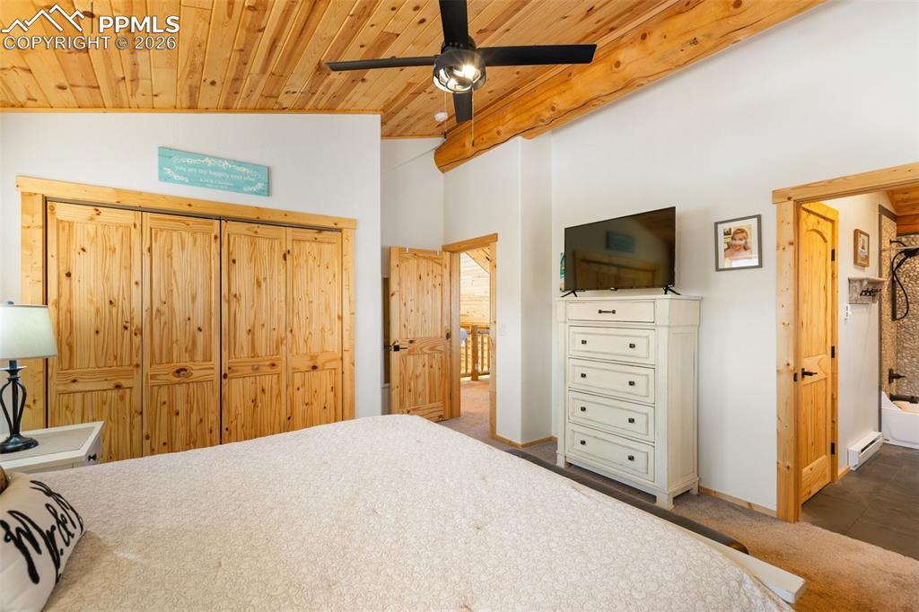 26 Blue Spruce Road Divide CO 80814