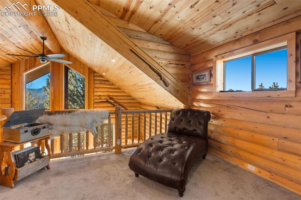 26 Blue Spruce Road Divide CO 80814