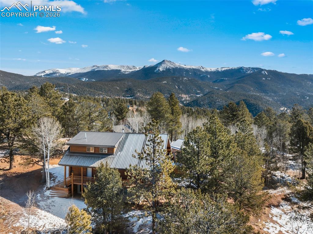 26 Blue Spruce Road Divide CO 80814