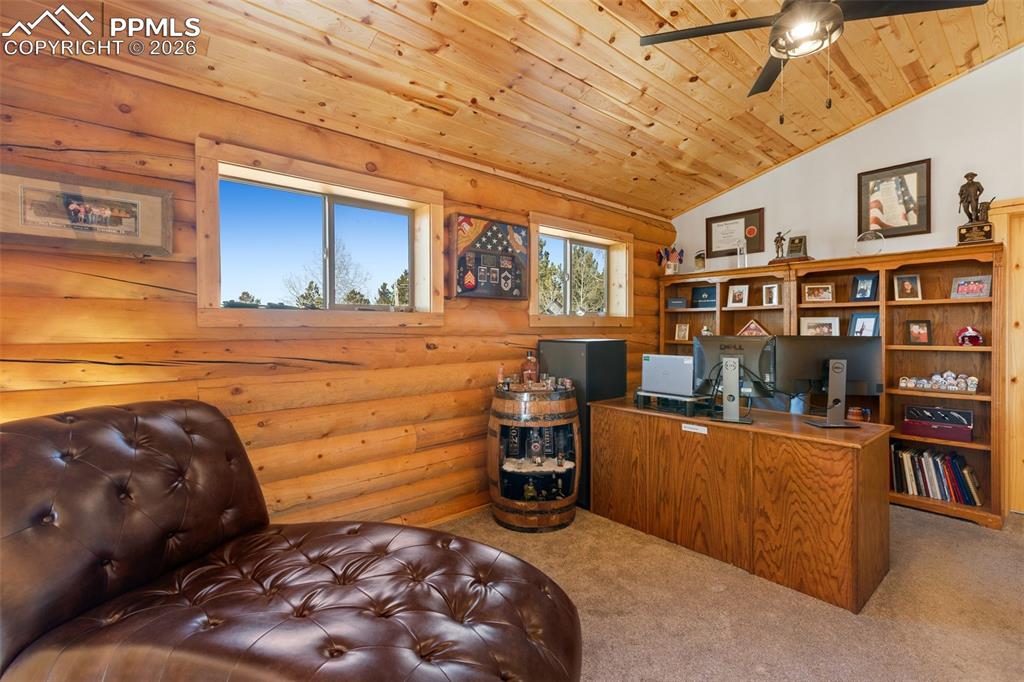 26 Blue Spruce Road Divide CO 80814