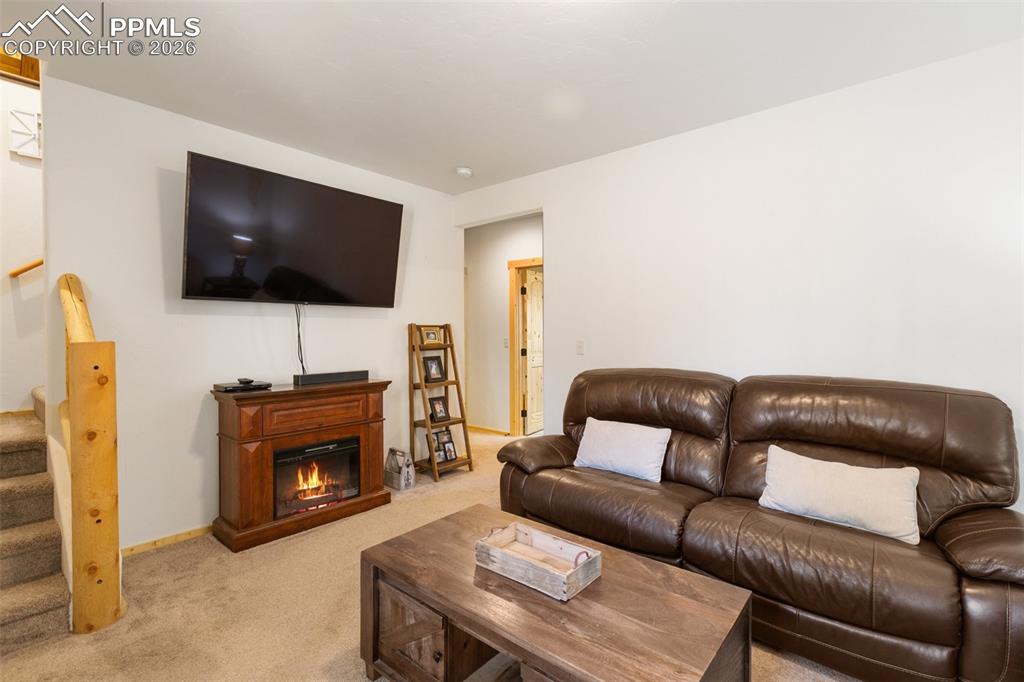 26 Blue Spruce Road Divide CO 80814