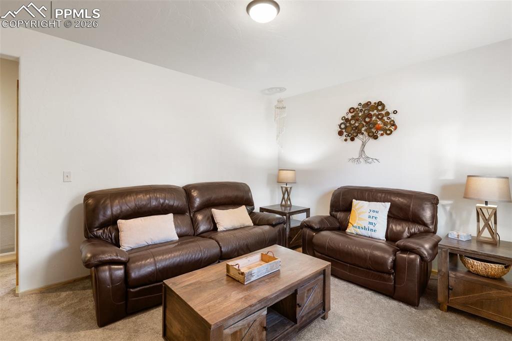 26 Blue Spruce Road Divide CO 80814