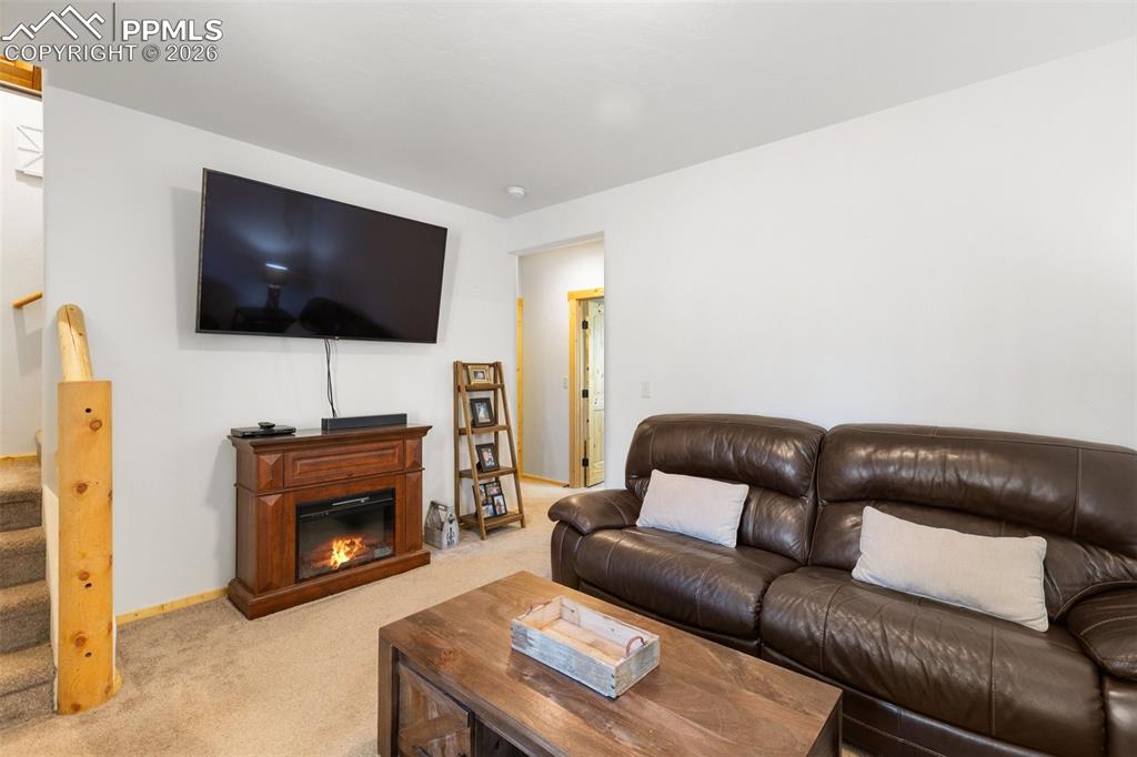 26 Blue Spruce Road Divide CO 80814