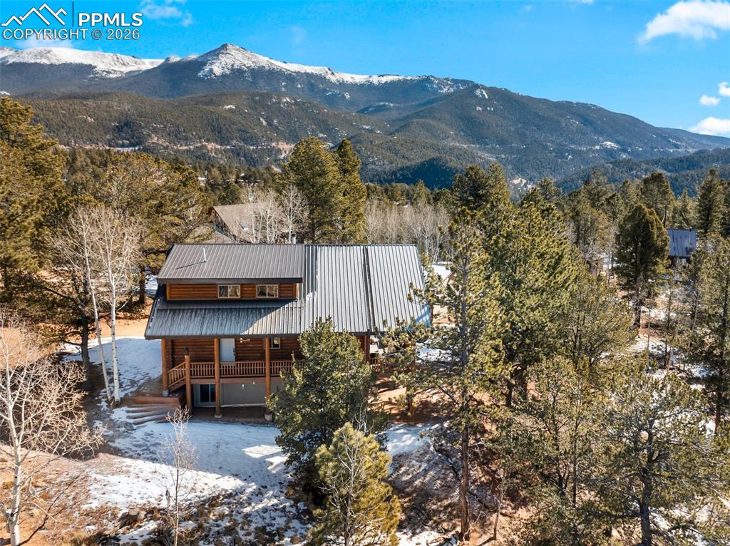 26 Blue Spruce Road Divide CO 80814