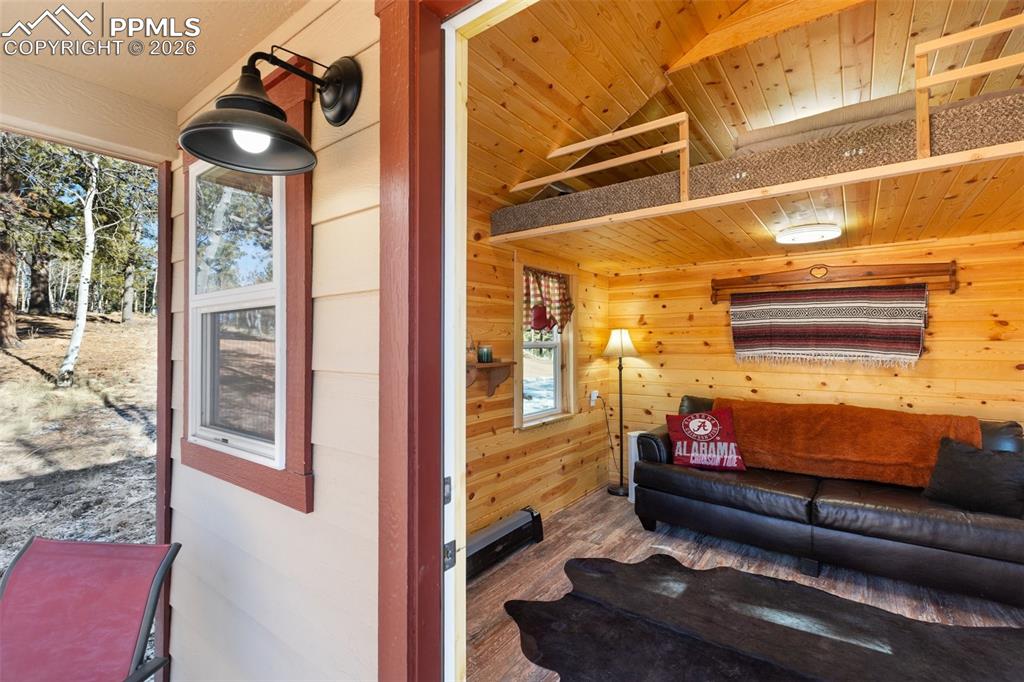 26 Blue Spruce Road Divide CO 80814