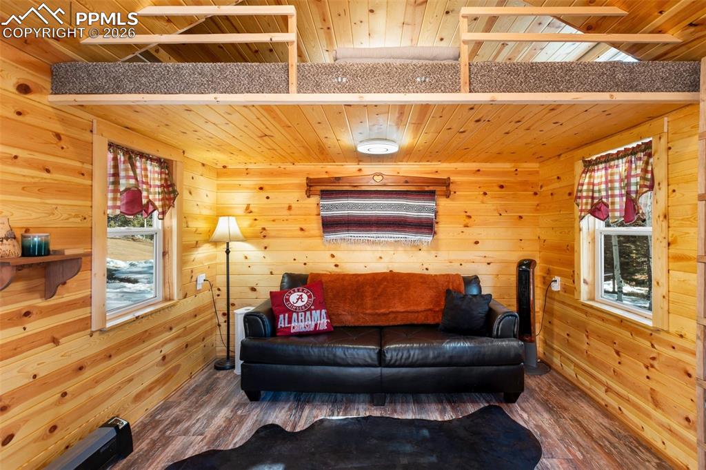 26 Blue Spruce Road Divide CO 80814
