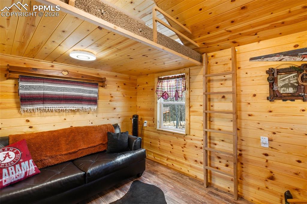 26 Blue Spruce Road Divide CO 80814
