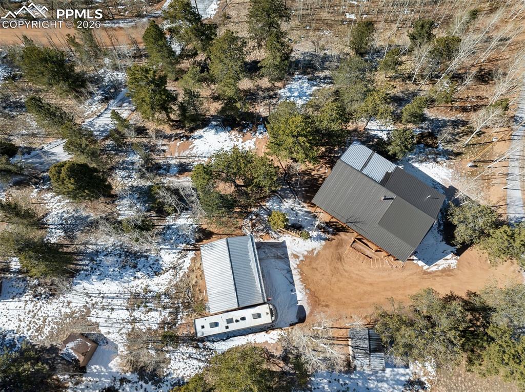 26 Blue Spruce Road Divide CO 80814