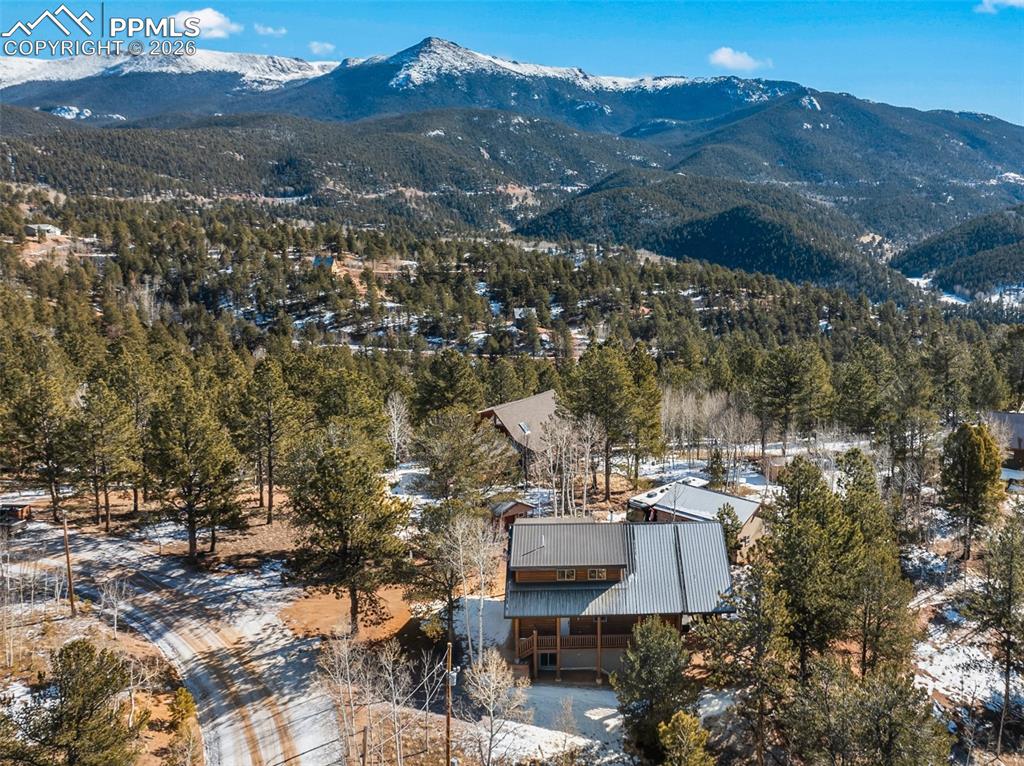 26 Blue Spruce Road Divide CO 80814