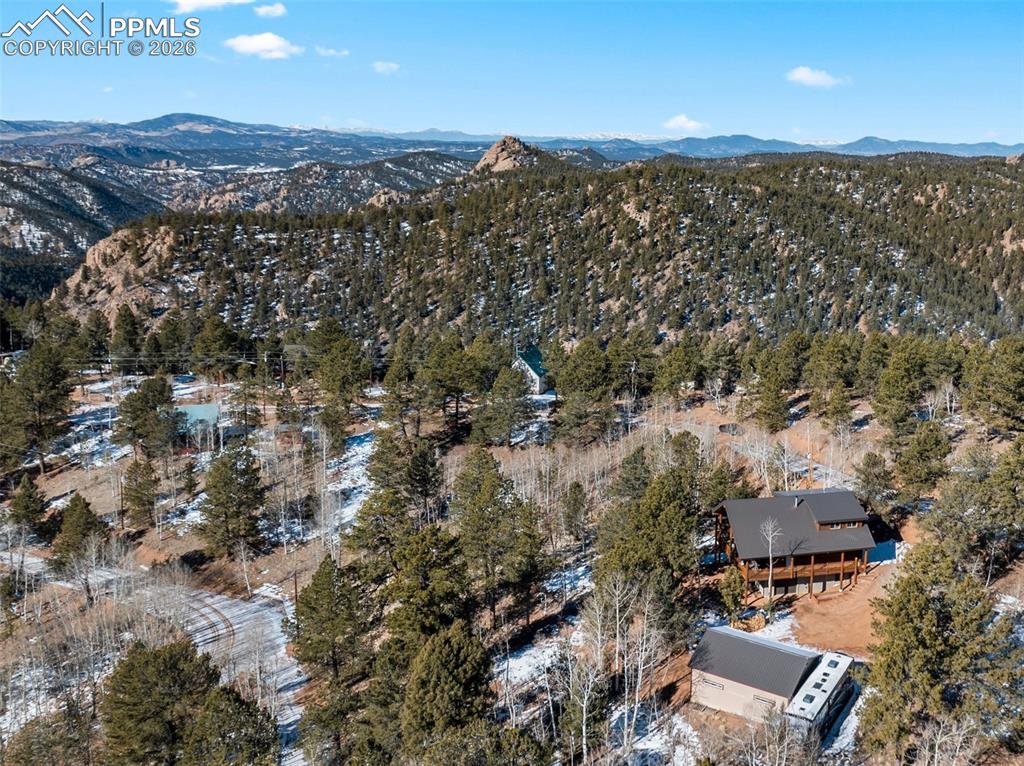26 Blue Spruce Road Divide CO 80814
