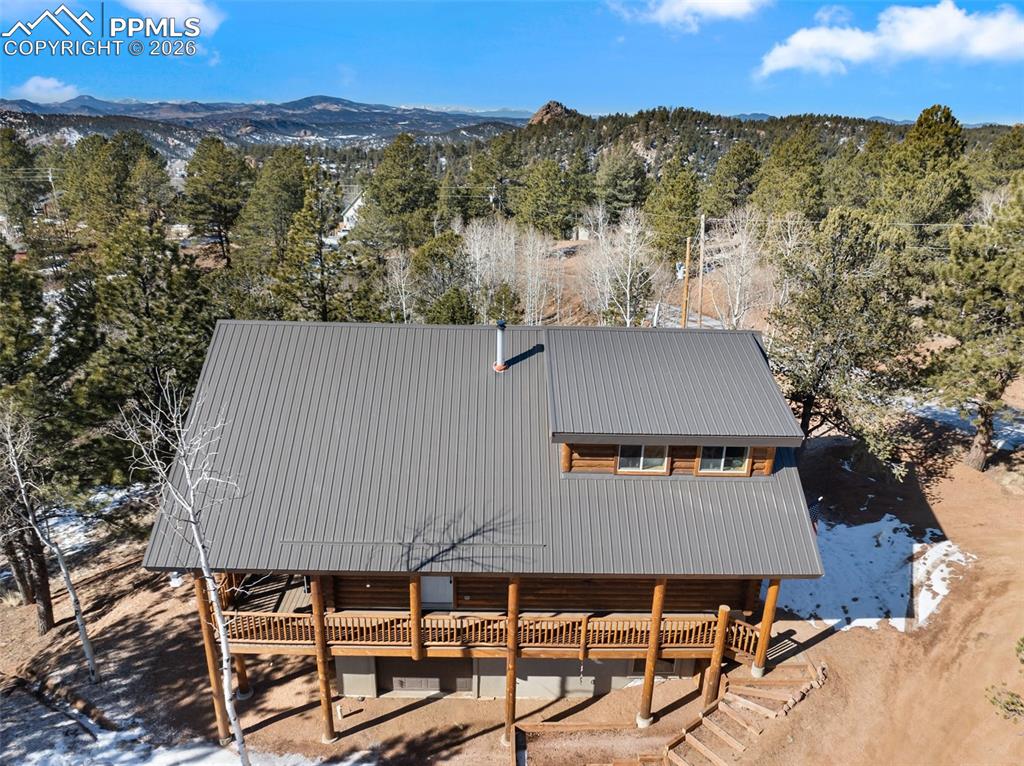 26 Blue Spruce Road Divide CO 80814