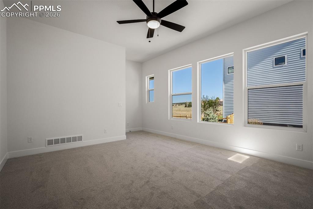 17217 Alsike Clover Court Monument CO 80132