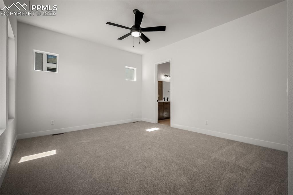 17217 Alsike Clover Court Monument CO 80132
