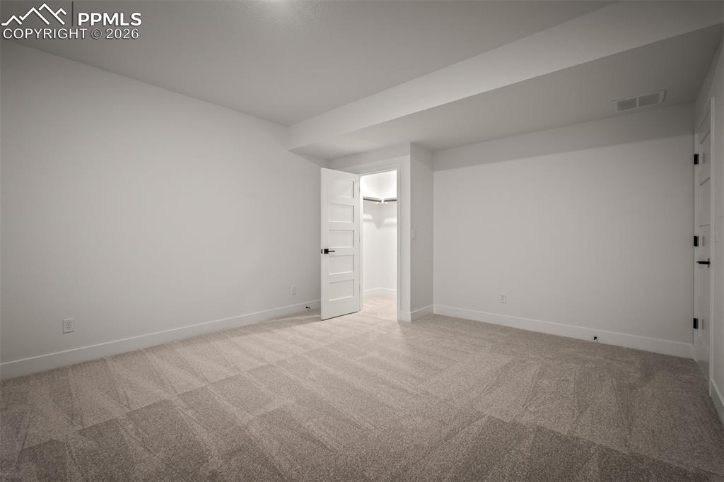 17217 Alsike Clover Court Monument CO 80132