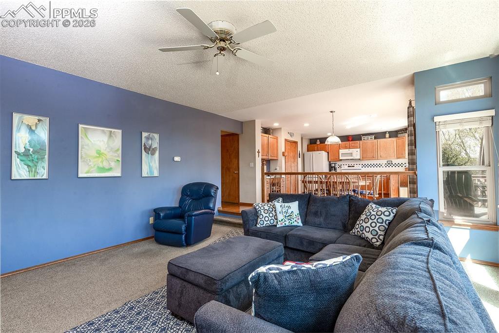 6155 Moorfield Avenue Colorado Springs CO 80919