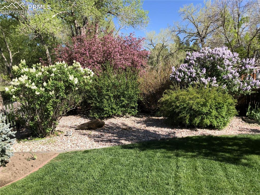 41 El Dorado Lane Colorado Springs CO 80919