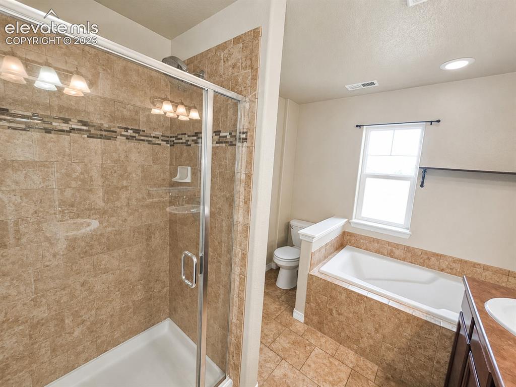 12029 Eagle Crest Court Peyton CO 80831