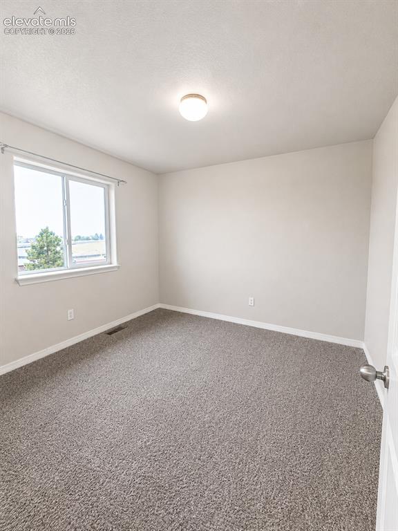 12029 Eagle Crest Court Peyton CO 80831