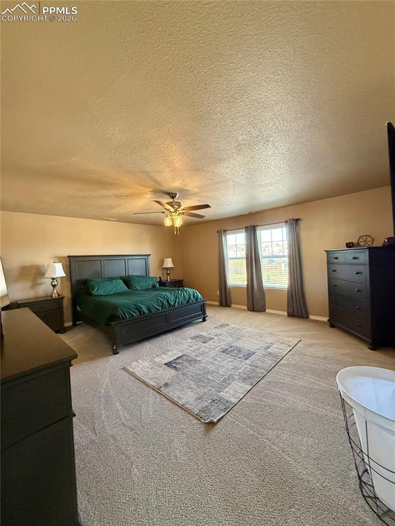 10836 Mcgahan Drive Fountain CO 80817