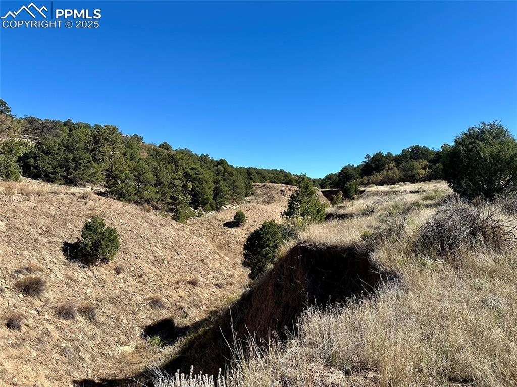 205 Hoofprint Court Walsenburg CO 81089
