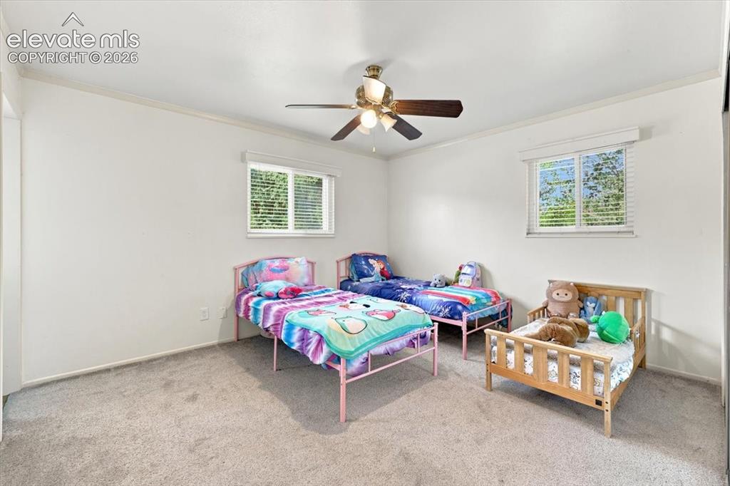 6535 Dublin Circle Colorado Springs CO 80918