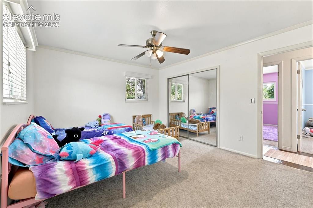 6535 Dublin Circle Colorado Springs CO 80918