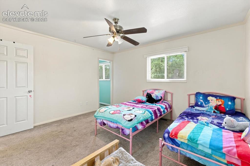 6535 Dublin Circle Colorado Springs CO 80918