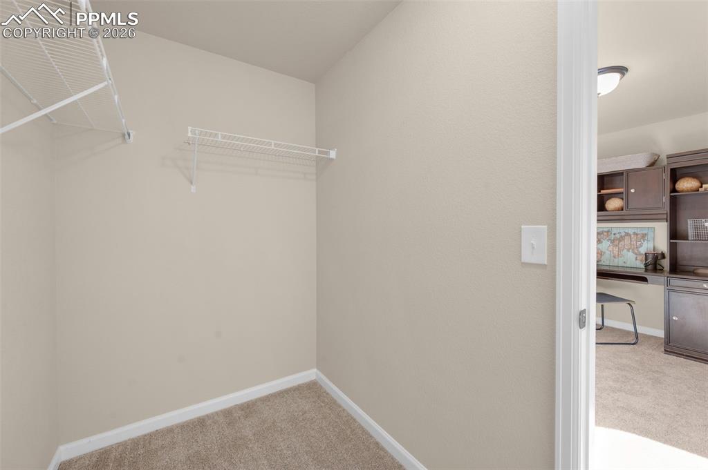 4411 Allenite Point Colorado Springs CO 80938