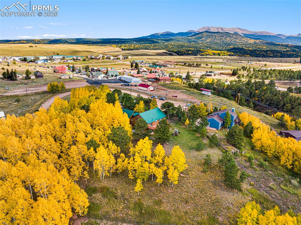 162 Ridge Top Drive Divide CO 80814