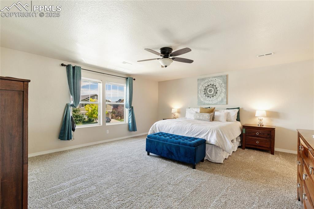 9515 Sand Myrtle Drive Colorado Springs CO 80925