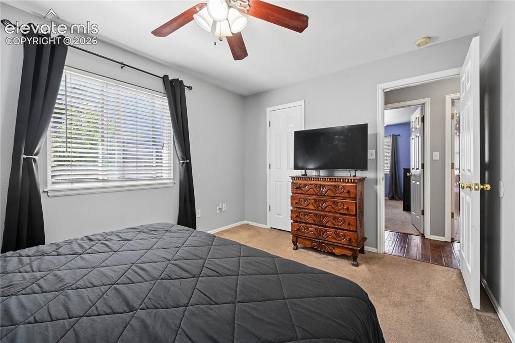 2445 Brenton Drive Colorado Springs CO 80918
